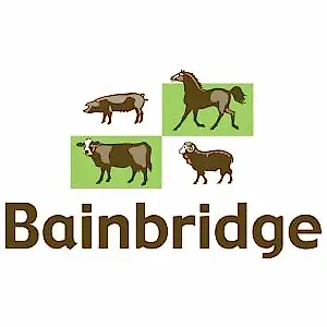 Bainbridge