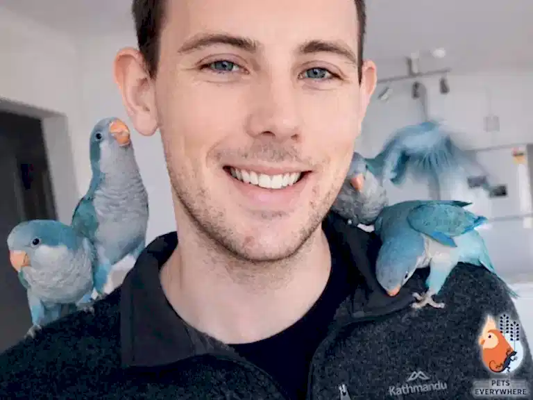 Hand-tame blue Quaker parrots perched on a man’s shoulders at Pets Everywhere Adelaide