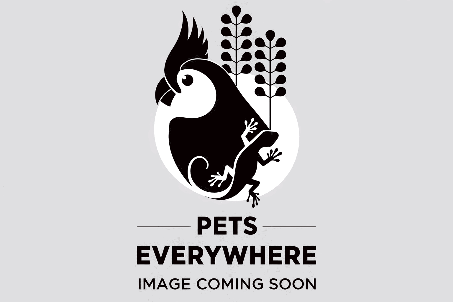 Image Coming Soon