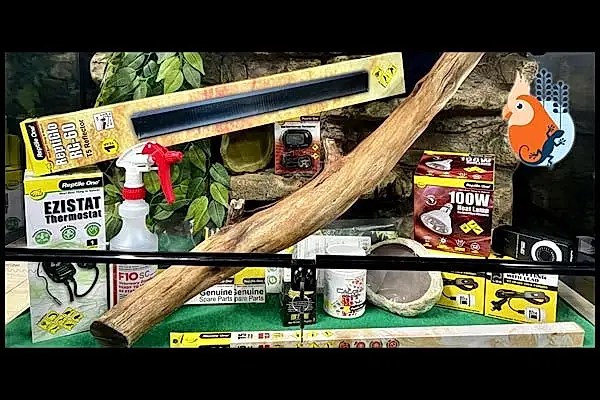 Premium bearded dragon enclosure kit in a Reptile One 90cm terrarium with full lighting and heating setup