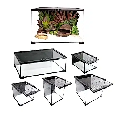 Reptile One Mini T2 enclosure ideal for scorpions, spiders and small insects