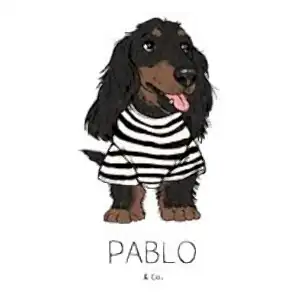 Pablo and Co dog accessories logo stylish collars leads and harnesses available at Pets Everywhere Adelaide