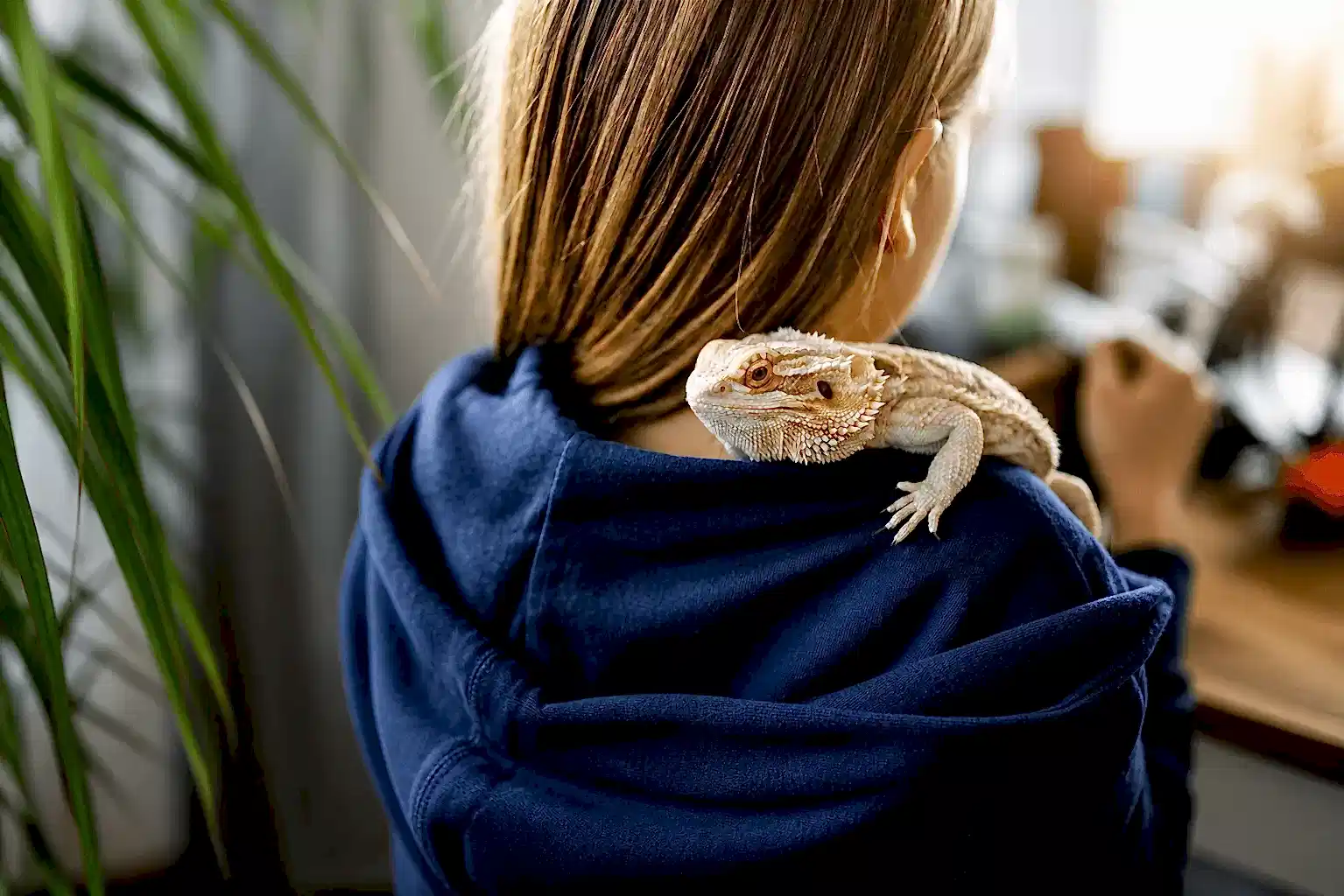 Young girl with a bearded dragon resting on her shoulder at home