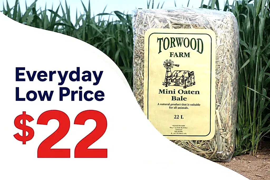 Torwood Farm Mini Oaten Bale with an everyday low price of $22.